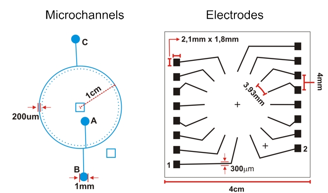 biotron-microchanels-electrodes biotron-microchanels-electrodes
